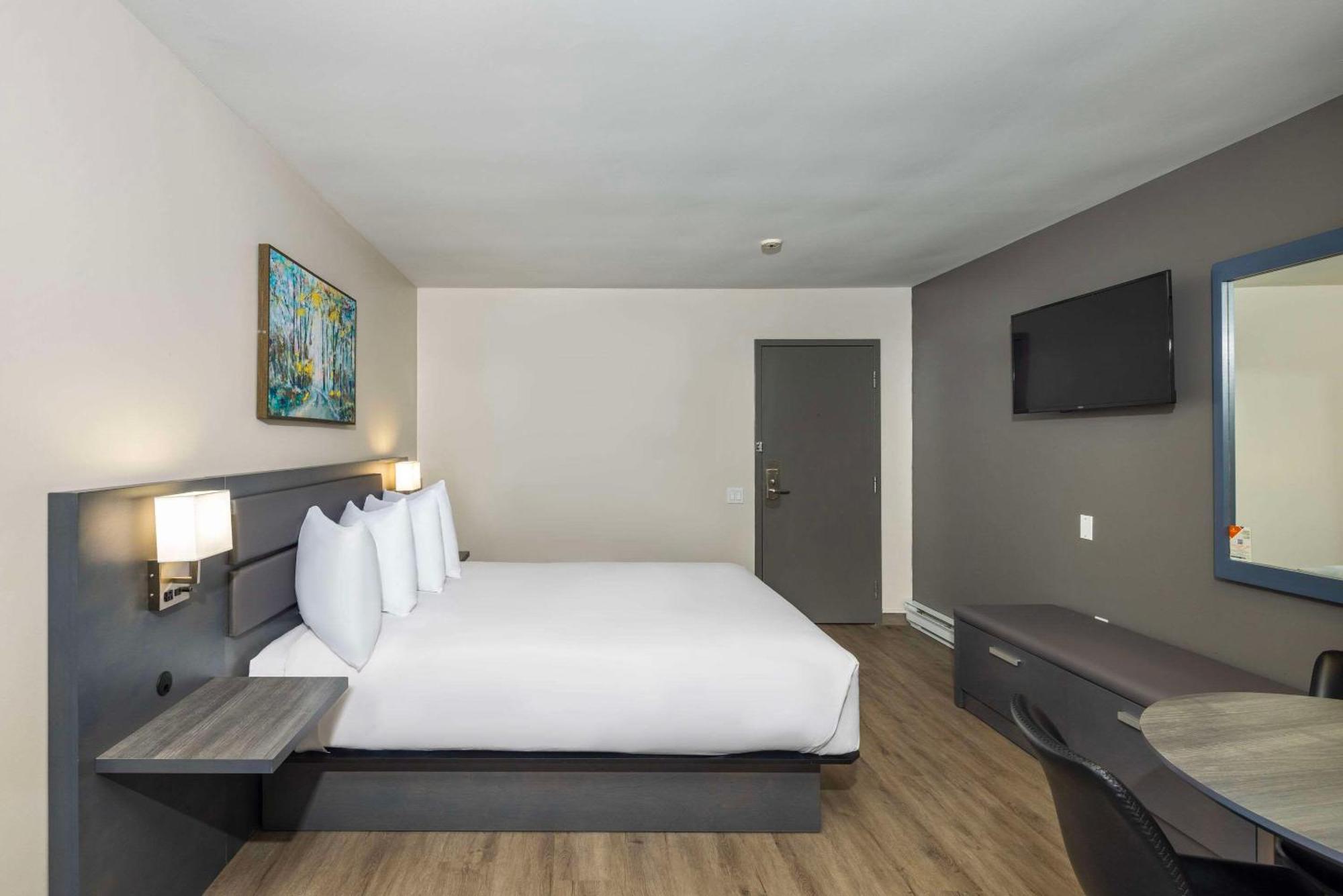 Les Suites De Laviolette Ascend Hotel Collection Trois-Rivières Esterno foto